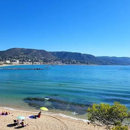 Horizon 5 Pied Dans L'eau *