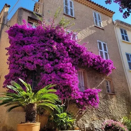 Horizon 5 Pied Dans L'eau Appartamento