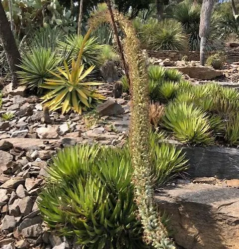 דירה Horizon 5 Pied Dans L'eau *