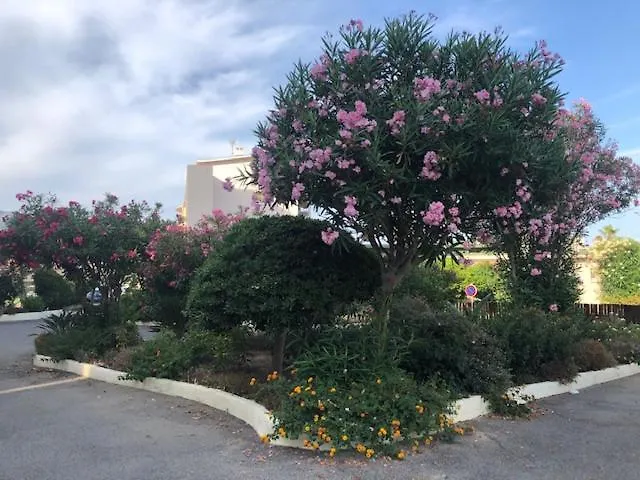 דירה Horizon 5 Pied Dans L'eau *