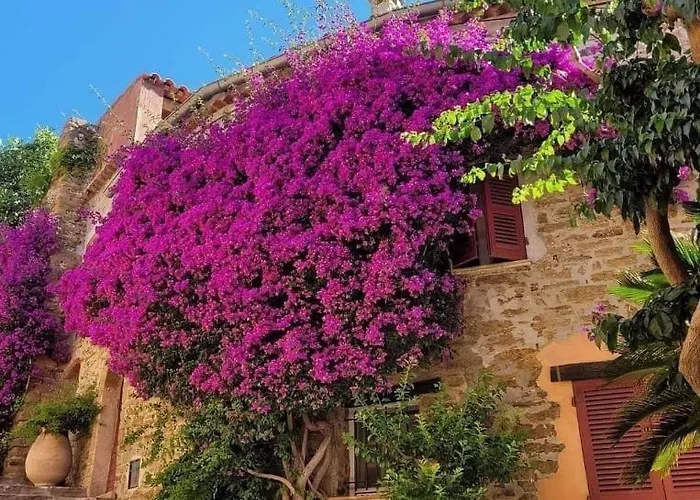 דירה Horizon 5 Pied Dans L'eau *