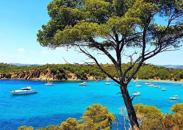 Horizon 5 Pied Dans L'eau דירה