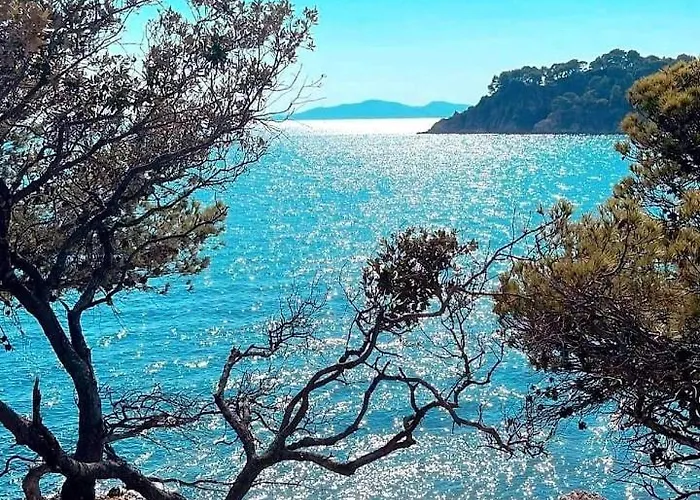 Horizon 5 Pied Dans L'eau לה לבאנדו