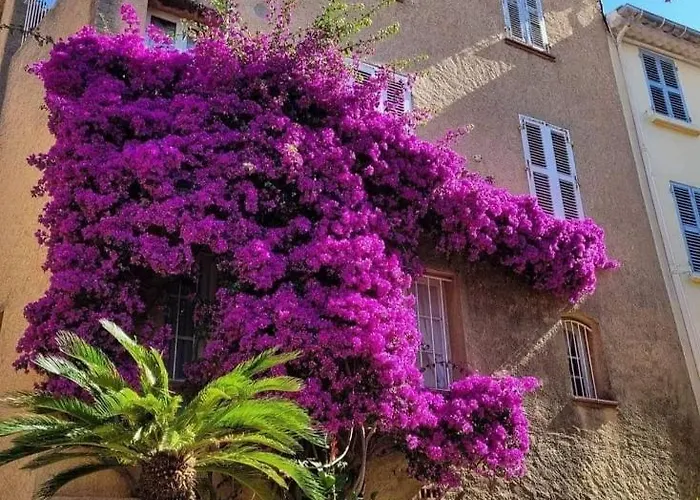 Horizon 5 Pied Dans L'eau דירה