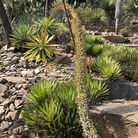 Apartment Horizon 5 Pied Dans L'eau *