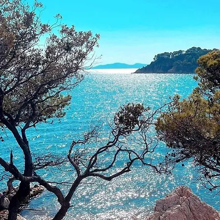 Horizon 5 Pied Dans L'eau Le Lavandou